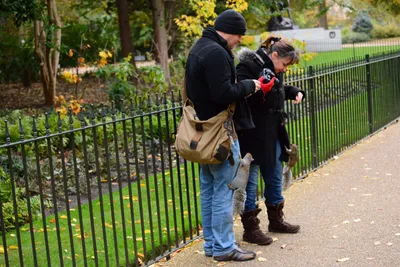 DSC_0609 (Large).JPG